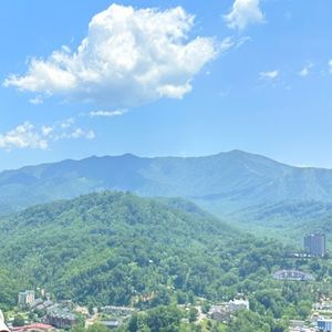 Meet your Posher, Mariam